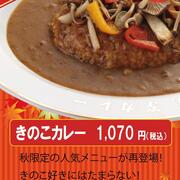 【上等カレー】期間限定 きのこカレー